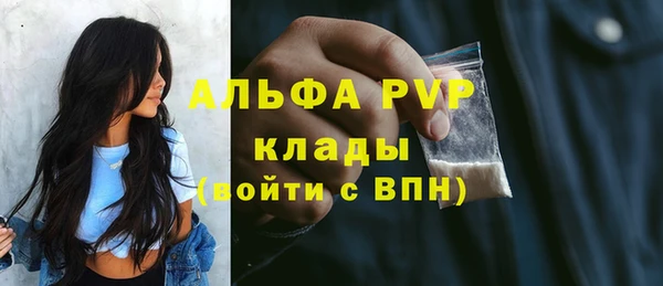 mdpv Вяземский