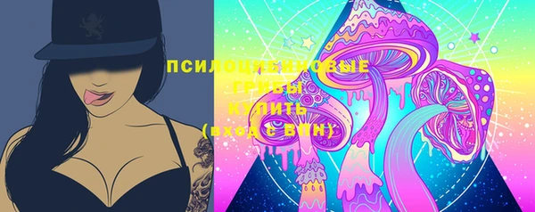 apvp Вязники