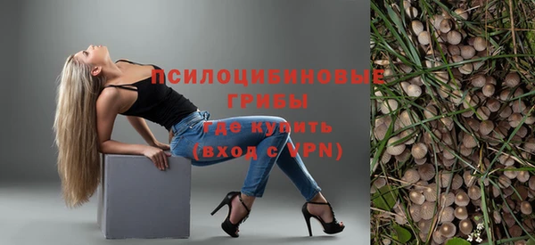 apvp Вязники