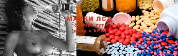 прущие крисы Володарск