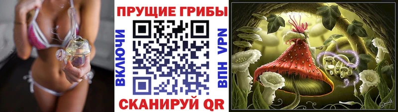 Галлюциногенные грибы прущие грибы наркотики Карачев